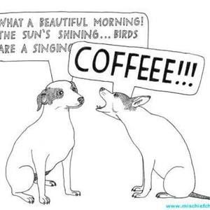 Meet your Posher, Jen